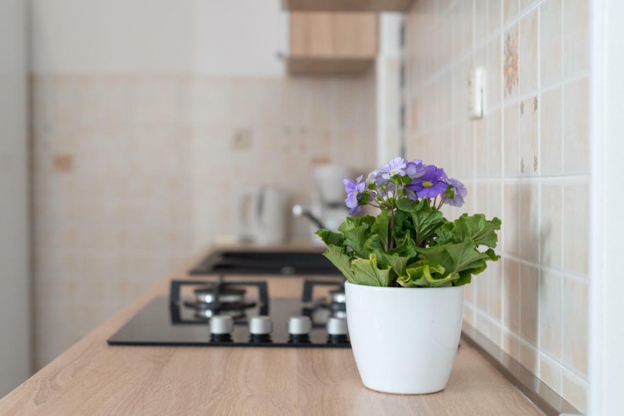 Luxury Apartment With Garden Jacuzzi And Wellness Трогир Екстериор снимка